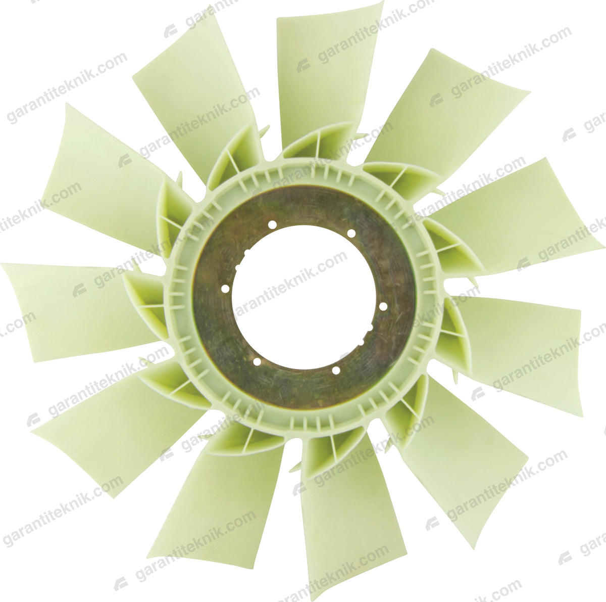 P, G, R, T Fan Pervanesi