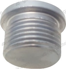 Oil Drain Plug