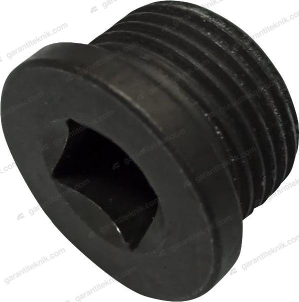 Oil Pan Drain Plug